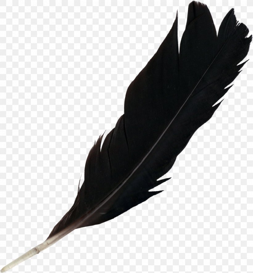 Feather Light, PNG, 933x1008px, Feather, Bird, Ink, Light, Photography Download Free