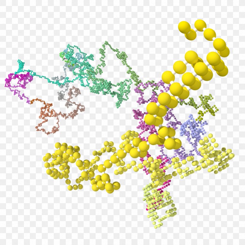 Hydrodynamic Radius Polymer Radius Of Gyration Self-avoiding Walk, PNG, 1019x1019px, Polymer, Amplitude, Art, Body Jewelry, Estimation Download Free