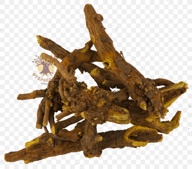 Scutellaria Baicalensis Root Bark Mints Herbaceous Plant, PNG, 1024x900px, Scutellaria Baicalensis, Bark, Common Comfrey, Dianhong, Herbaceous Plant Download Free