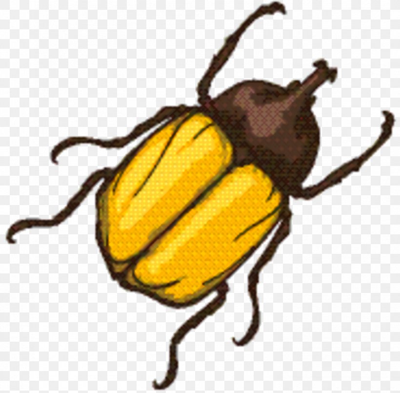 Cartoon Bee, PNG, 1468x1442px, Bee, Beetle, Blister Beetles, Cetoniidae, Darkling Beetles Download Free