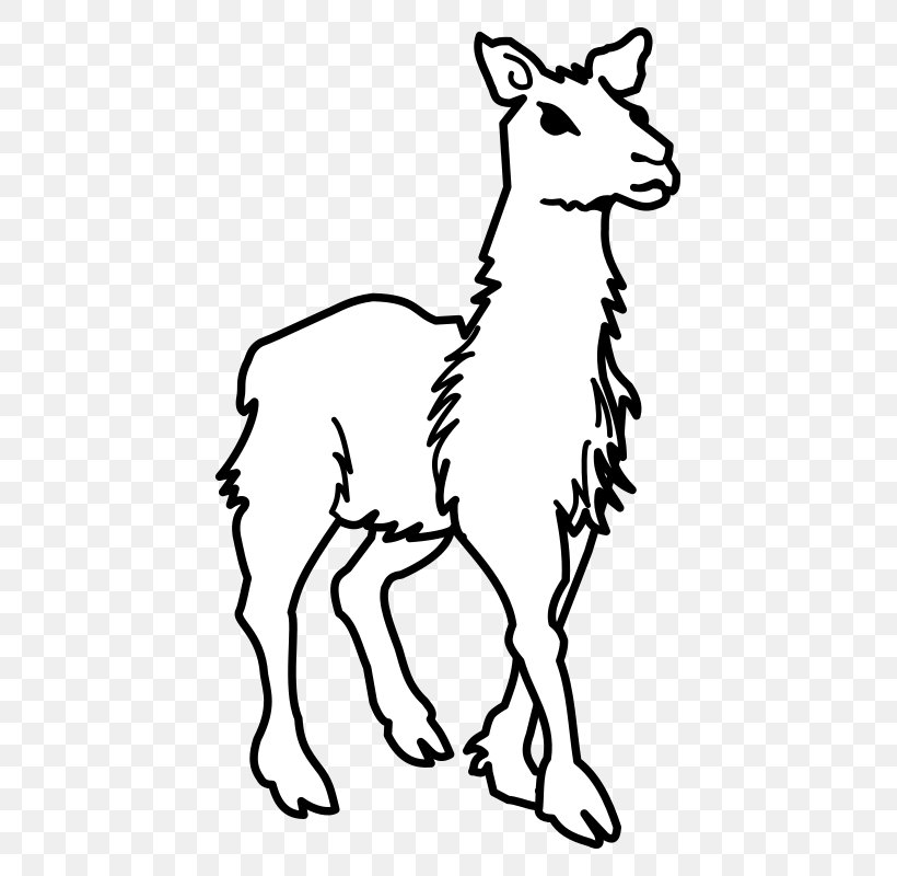 Llama Clip Art Vector Graphics Image Camel, PNG, 475x800px, Llama, Animal Figure, Art, Black And White, Camel Download Free