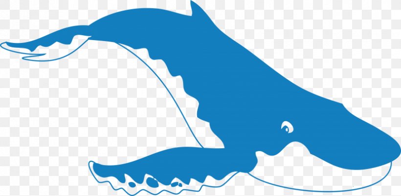 Noun Shark Marine Biology, PNG, 830x406px, Noun, Biology, Black And White, Blue, Cartilaginous Fish Download Free