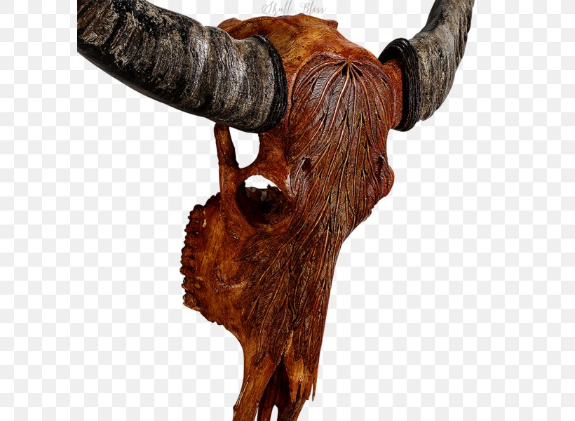 Animal Skulls Cattle Horn, PNG, 600x600px, Animal Skulls, American Bison, Animal, Antique, Antler Download Free