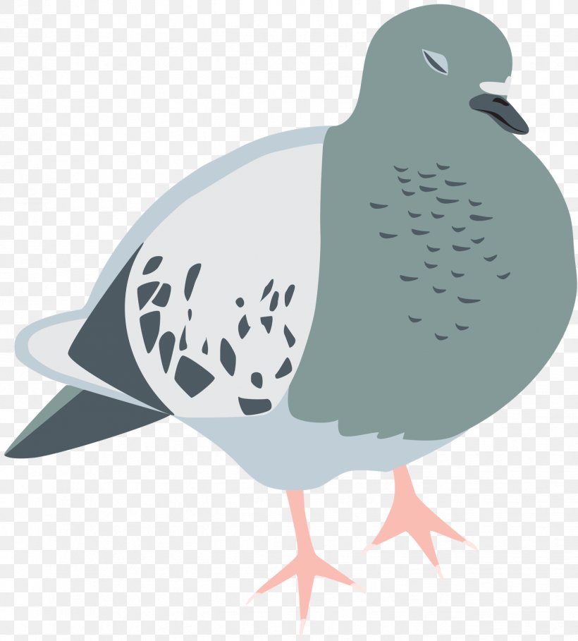 Stock Dove Columbidae Bird Homing Pigeon Tote Bag, PNG, 1443x1600px, Stock Dove, Animal, Bag, Beak, Bird Download Free