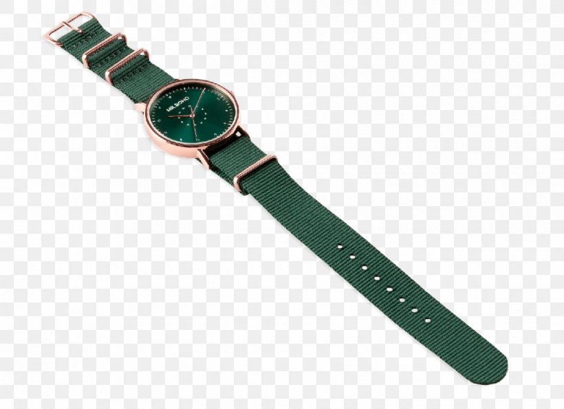 Watch Strap Metal Clothing Accessories, PNG, 1240x900px, Watch, Alloy, Burgundy, Cactaceae, Clothing Accessories Download Free