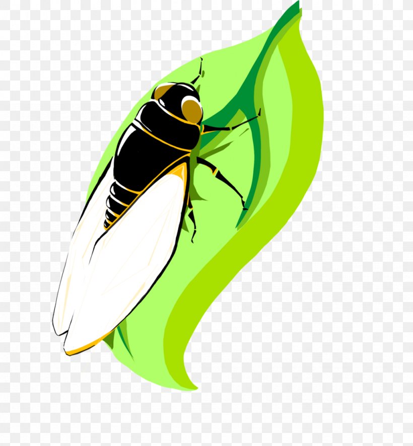 Cicadidae Image Insect Download, PNG, 1024x1107px, Cicadidae, Art, Autumn, Bug, Cartoon Download Free