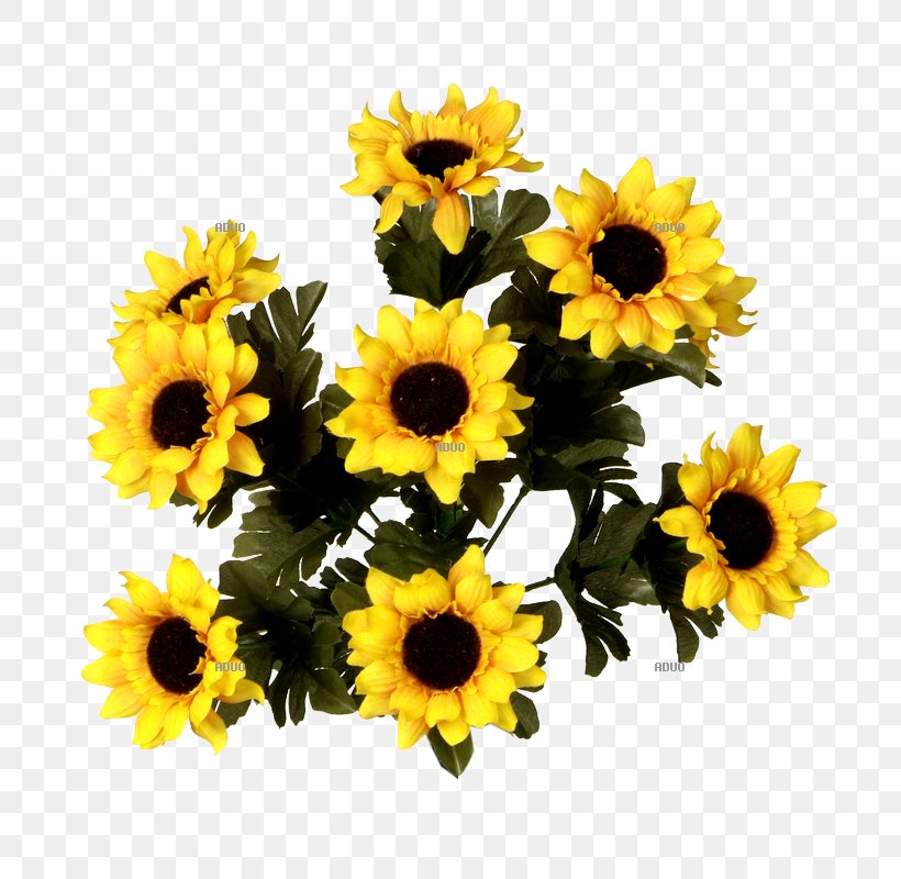 Common Sunflower Floral Design Cut Flowers Flower Bouquet, PNG, 800x800px, Common Sunflower, Annual Plant, Cut Flowers, Daisy Family, Floral Design Download Free