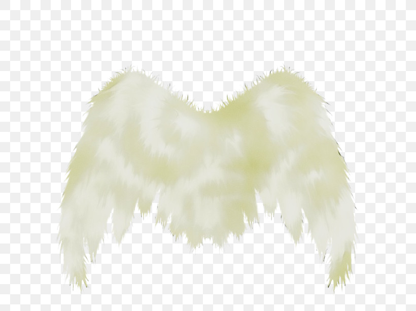 Feather, PNG, 613x613px, Watercolor, Costume Accessory, Feather, Feather Boa, Fur Download Free