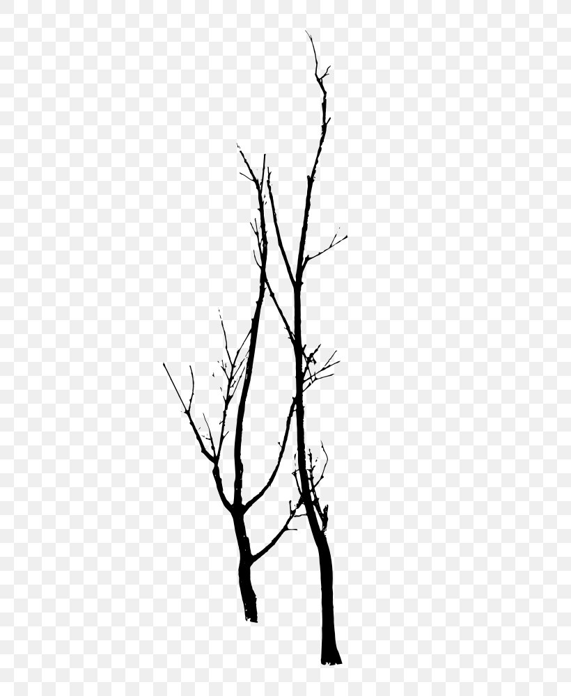 Twig Gum Trees Silhouette Branch, PNG, 757x1000px, Twig, Black And White, Branch, Christmas Tree, Drawing Download Free