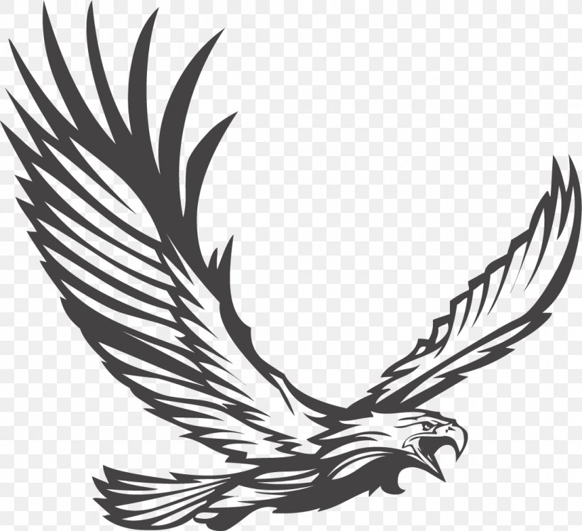 Bald Eagle Stock Photography Illustration, PNG, 1097x1001px, Bald Eagle, Beak, Bird, Bird Of Prey, Black And White Download Free