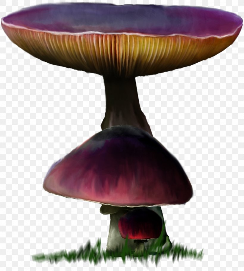 Mushroom Download, PNG, 1190x1325px, Mushroom, Furniture, Game, Http Cookie, Purple Download Free