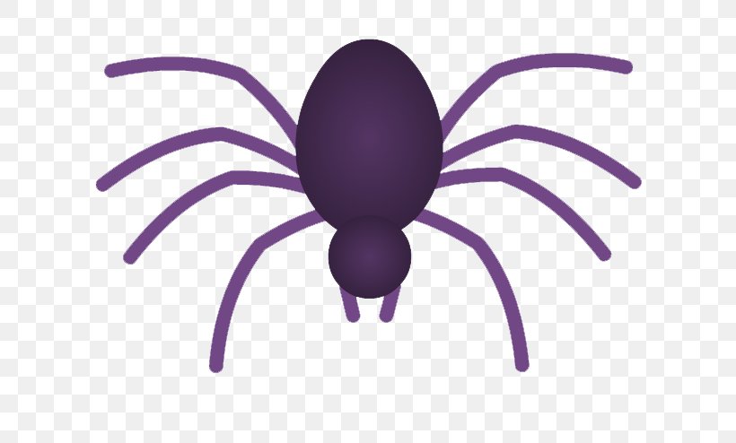 Spider Web Pholcus Phalangioides Clip Art, PNG, 714x494px, Spider, Arachnid, Arthropod, Flickr, Insect Download Free