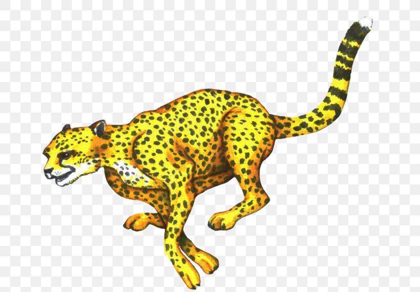 Cheetah Leopard Jaguar Cat Terrestrial Animal, PNG, 800x570px, Cheetah, Animal, Animal Figure, Big Cats, Carnivoran Download Free