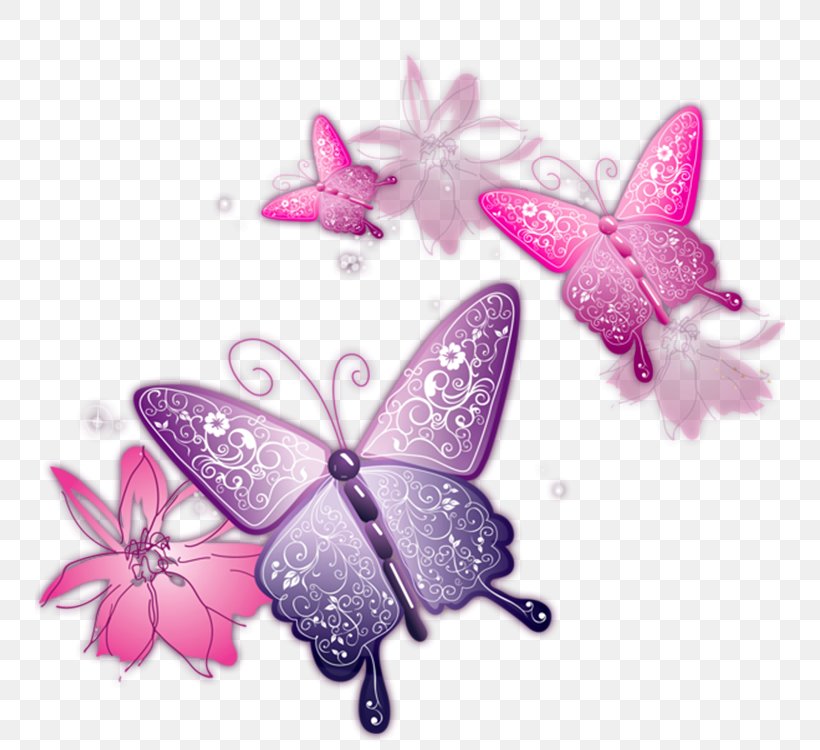 Clip Art Butterfly Transparency Vector Graphics, PNG, 750x750px, Butterfly, Glasswing Butterfly, Insect, Invertebrate, Lepidoptera Download Free