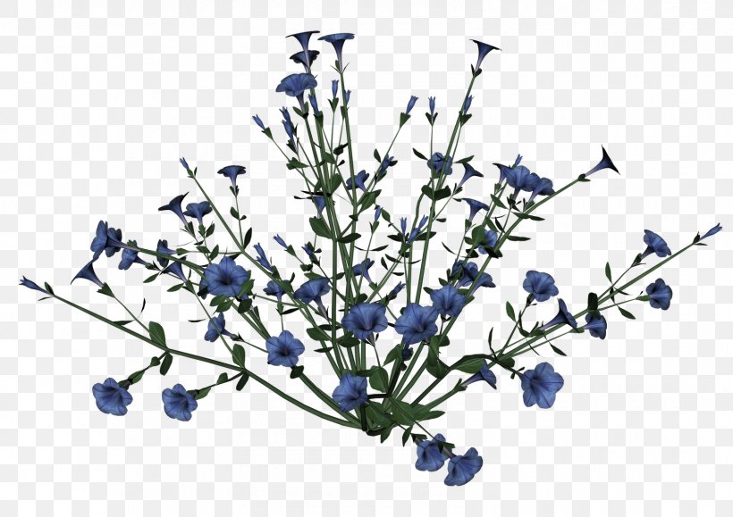 Clip Art, PNG, 1600x1131px, Display Resolution, Blue, Branch, Cut Flowers, Flower Download Free