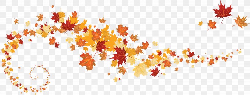 Maple Leaf Autumn Leaf Color, PNG, 6112x2326px, Maple Leaf, Autumn, Autumn Leaf Color, Color, Leaf Download Free