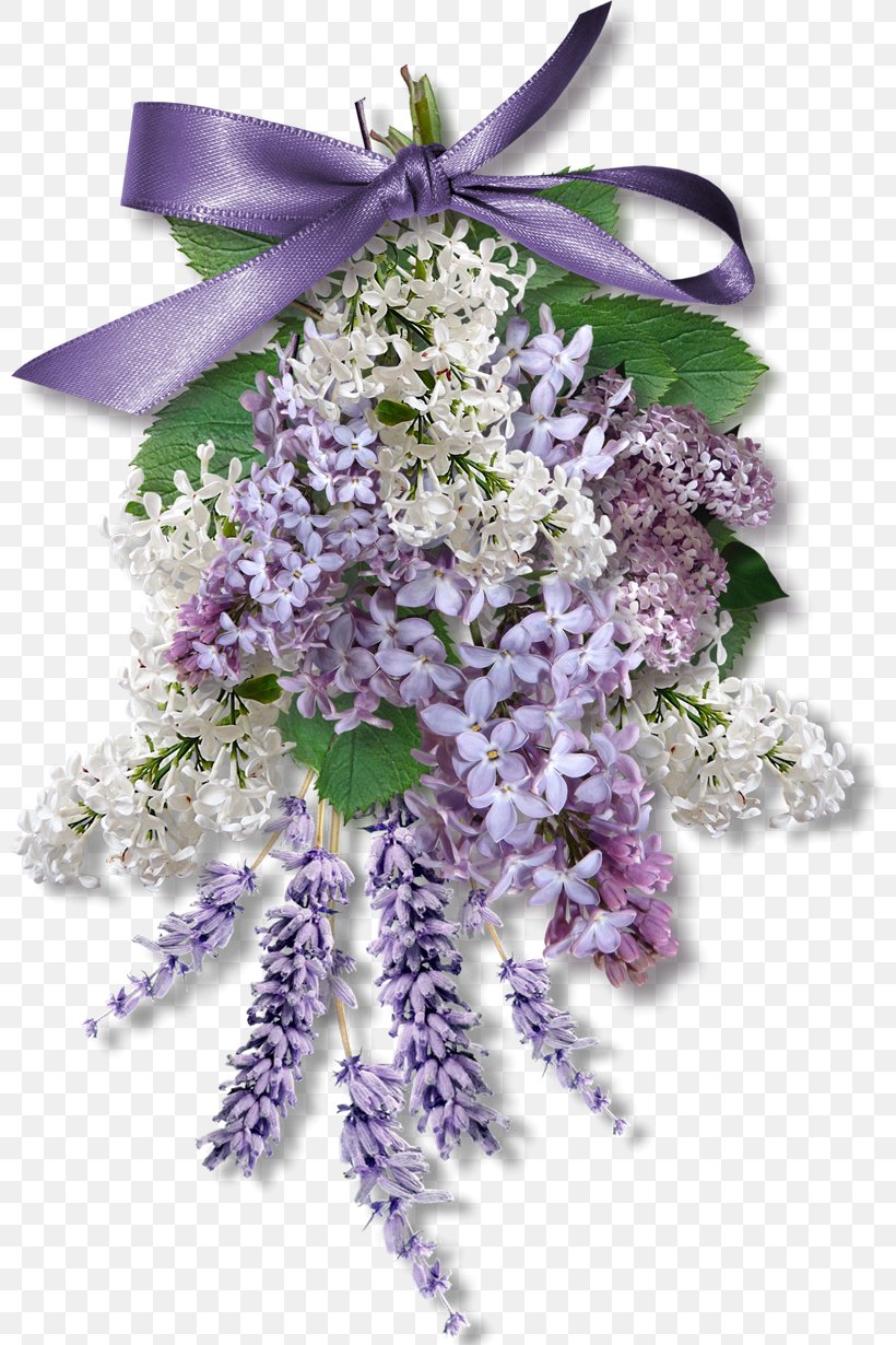 Wisteria Sinensis Flower Purple Download, PNG, 800x1230px, Wisteria Sinensis, Cut Flowers, Digital Scrapbooking, English Lavender, Floral Design Download Free