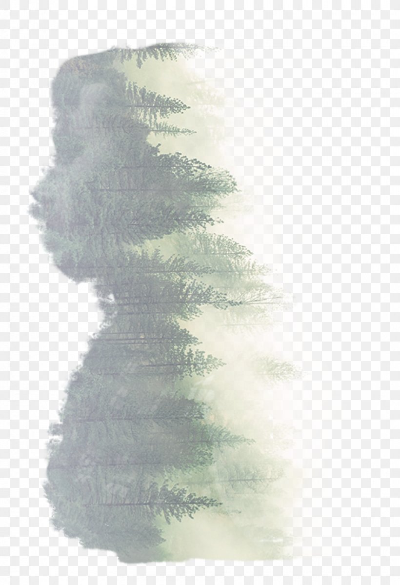 Becoming Paperback Painting Author Tree, PNG, 880x1287px, Becoming, Author, Fog, Mist, Painting Download Free