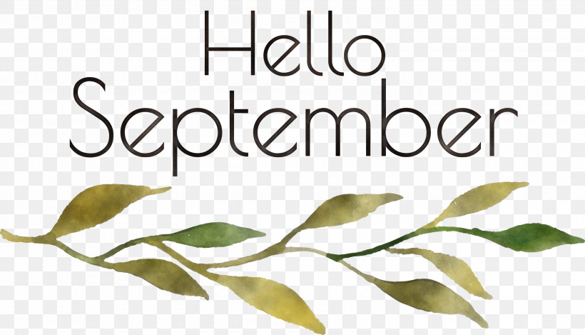 Hello September September, PNG, 3000x1716px, Hello September, Biology, Flower, Leaf, Line Download Free