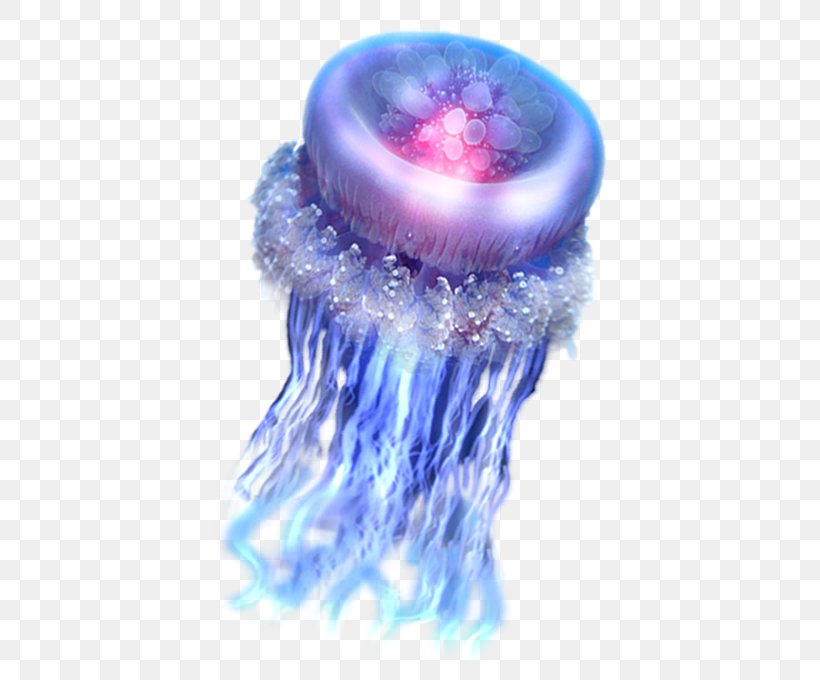 Jellyfish Sea Clip Art, PNG, 435x680px, Jellyfish, Animal, Aquatic Animal, Blue, Cobalt Blue Download Free