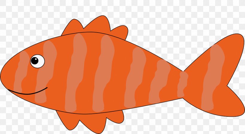 Orange, PNG, 960x527px, Fish, Fish Products, Goldfish, Orange, Parrotfish Download Free