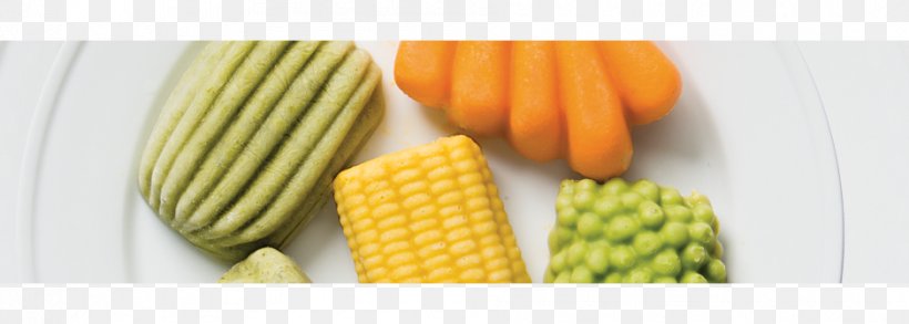 Corn On The Cob Prebiotic Peritoneal Dialysis Hemodialysis Flora, PNG, 939x336px, Corn On The Cob, Bacteria, Commodity, Dialysis, Electrolyte Download Free