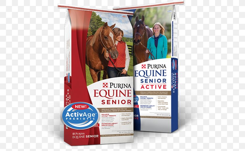 Horse Equine Nutrition Purina Mills Nestlé Purina PetCare Company Veterinarian, PNG, 558x507px, Horse, Advertising, Animal, Brand, Equine Nutrition Download Free