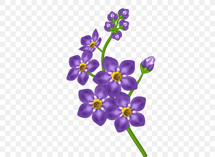 Purple Flower Violet Clip Art, PNG, 600x600px, Purple, Color, Cut Flowers, Flora, Flower Download Free