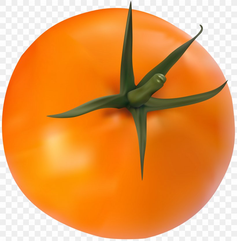 Tomato Clip Art, PNG, 7849x8000px, Tomato, Art Museum, Calabaza, Christmas, Food Download Free