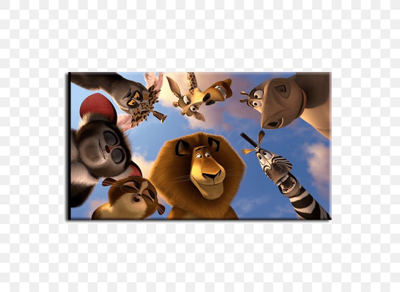 Alex Madagascar Film DreamWorks Animation, PNG, 600x600px, Alex, Animation, Dreamworks Animation, Eric Darnell, Film Download Free