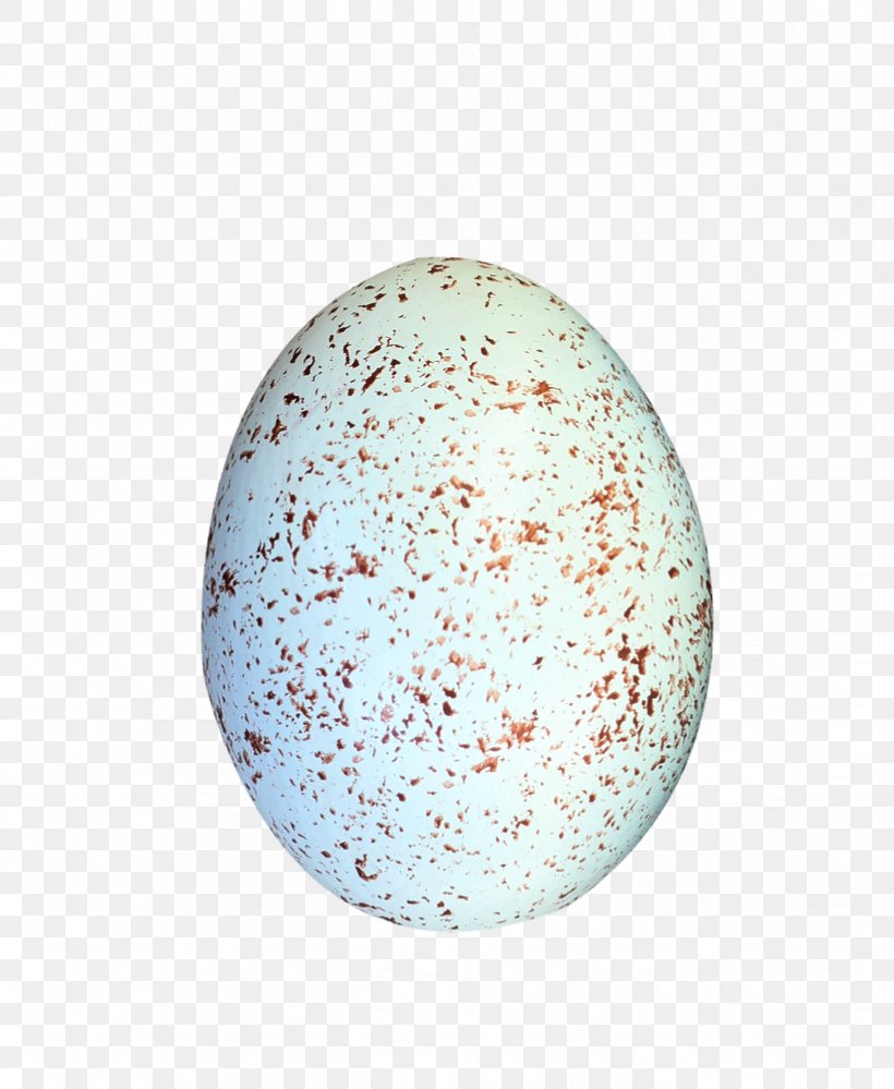 Bird Eggs Download, PNG, 822x1002px, Bird Eggs, Data Compression, Egg, Gratis, Rgb Color Model Download Free