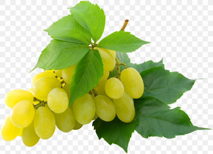 Grape High-definition Television 1080p High-definition Video Wallpaper, PNG, 3816x2762px, Kyoho, Concord Grape, Food, Fruit, Grape Download Free