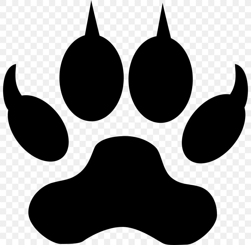 Paw Dog Bear Clip Art, PNG, 800x800px, Paw, Bear, Black, Black And White, Carnivoran Download Free
