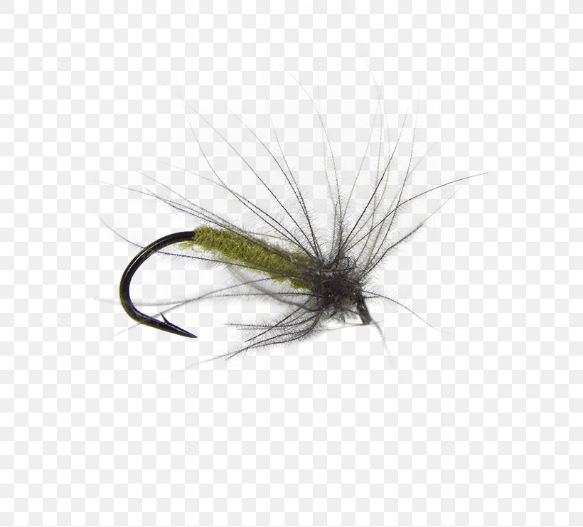 Artificial Fly Insect Fly Fishing Fly Tying, PNG, 555x741px, Fly, Artificial Fly, Bait, Bluewinged Olive, Fishing Download Free