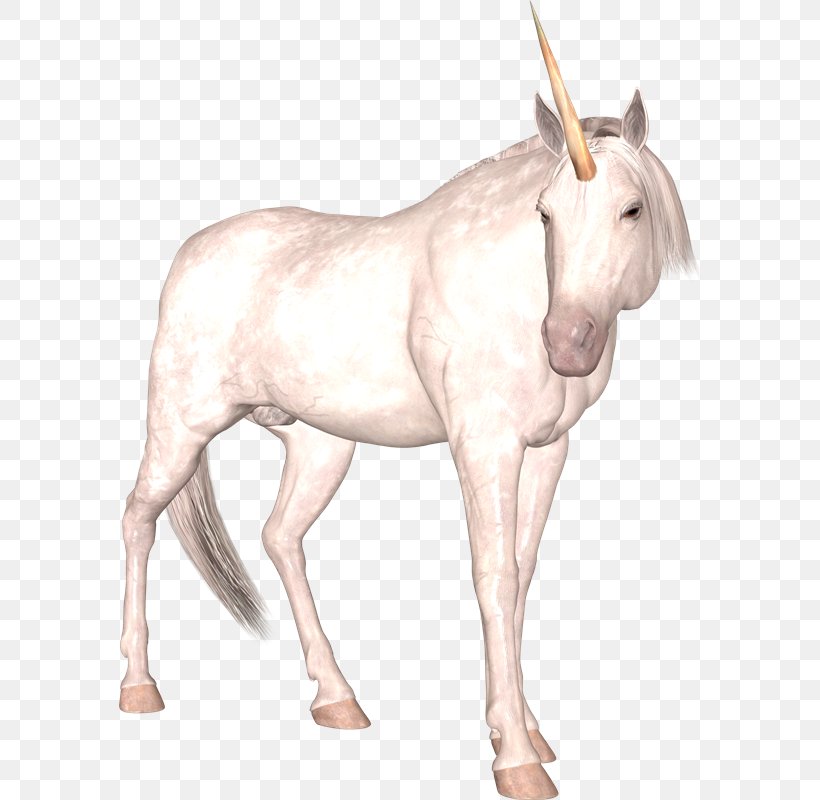 Mule Unicorn Pony Mane Donkey, PNG, 582x800px, Mule, Bridle, Donkey, Fictional Character, Foal Download Free