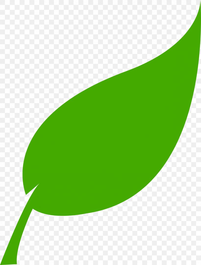 Renewable Energy Solar Energy Leaf Renewable Resource, PNG, 1191x1568px, Energy, Electric Energy Consumption, Electricity, Food, Green Download Free