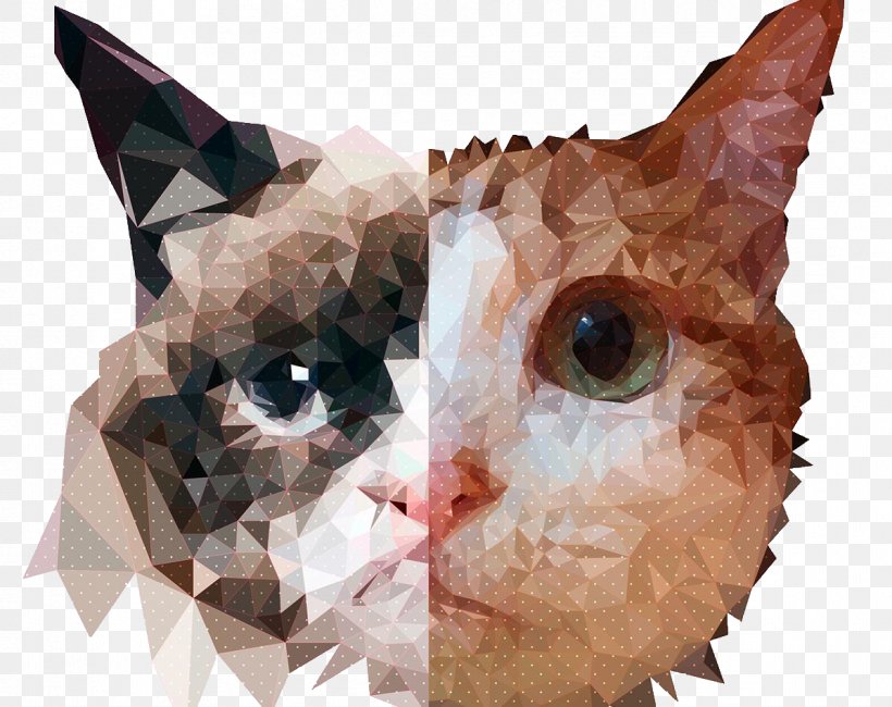 Whiskers Cat Edge Kitten Geometry, PNG, 1197x949px, Whiskers, Animal, Art, Carnivoran, Cat Download Free