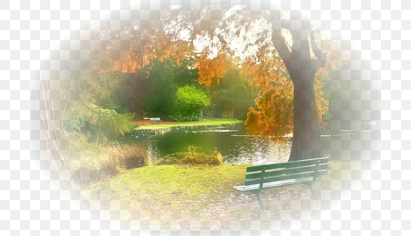 Autumn Landscape Feeling Weather Quotation, PNG, 700x472px, Autumn, Daytime, Description, Diary, Feeling Download Free