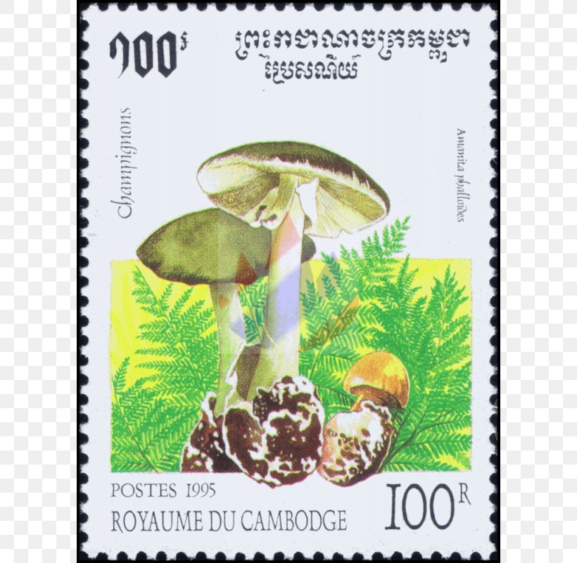 Flora Fauna Postage Stamps Plants Mushroom, PNG, 800x800px, Flora, Fauna, Mushroom, Notebook, Plant Download Free