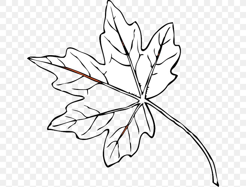 Autumn Leaf Color Red Clip Art, PNG, 640x624px, Autumn Leaf Color, Artwork, Autumn, Black And White, Branch Download Free