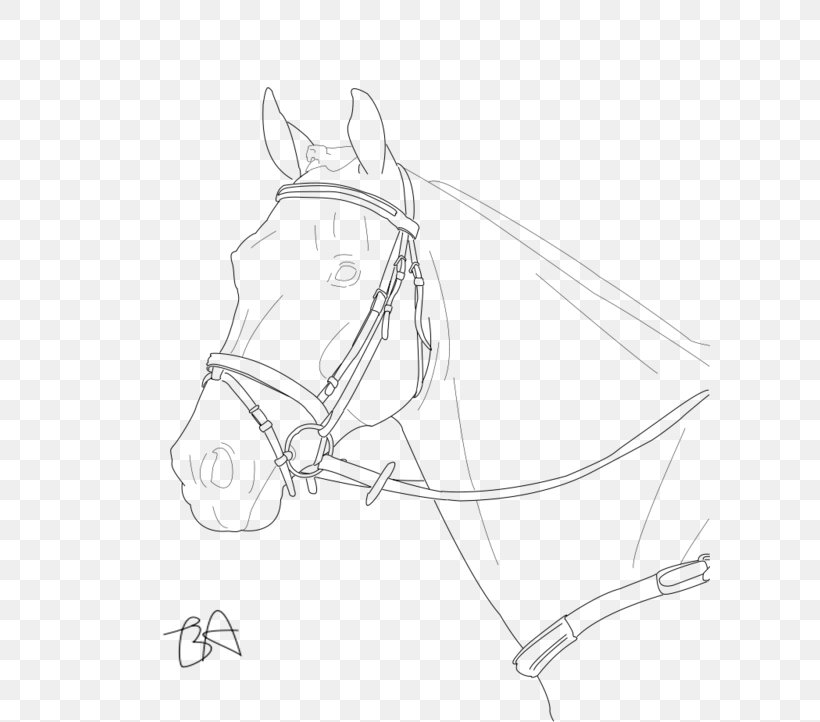 Bridle Horse Line Art Mane Drawing, PNG, 600x722px, Bridle, Arm, Art, Artwork, Automotive Design Download Free