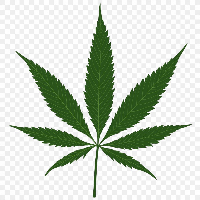 Cannabis Sativa Leaf, PNG, 1000x1000px, Cannabis, Cannabis Sativa, Hemp, Hemp Family, Joint Download Free