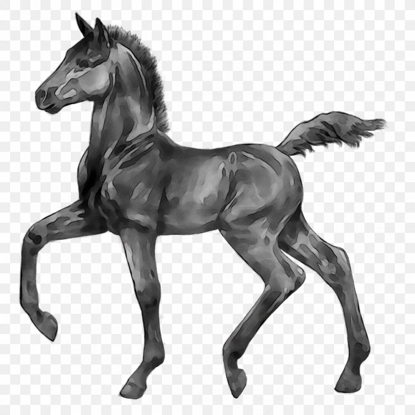 Foal Stallion Mare Colt Pony, PNG, 1071x1071px, Foal, Animal Figure, Art, Blackandwhite, Bridle Download Free