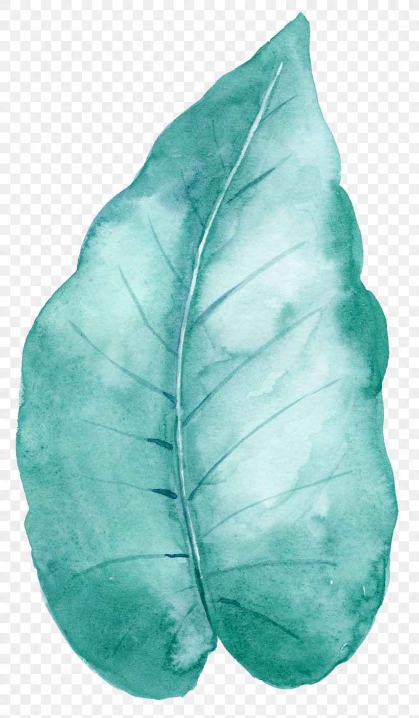 Leaf Green, PNG, 1389x2383px, Leaf, Aqua, Gratis, Green, Mint Download Free