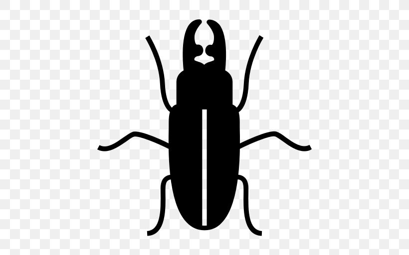 Varied Carpet Beetle Pest Control Rat, PNG, 512x512px, Beetle, Artwork, Bed Bug, Black And White, Cockroach Download Free