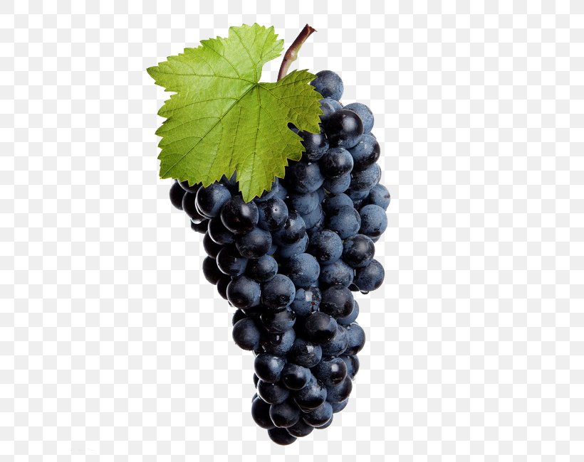 Common Grape Vine Wine Juice Grape Seed Extract, PNG, 650x650px, Common Grape Vine, Berry, Bilberry, Flowering Plant, Food Download Free
