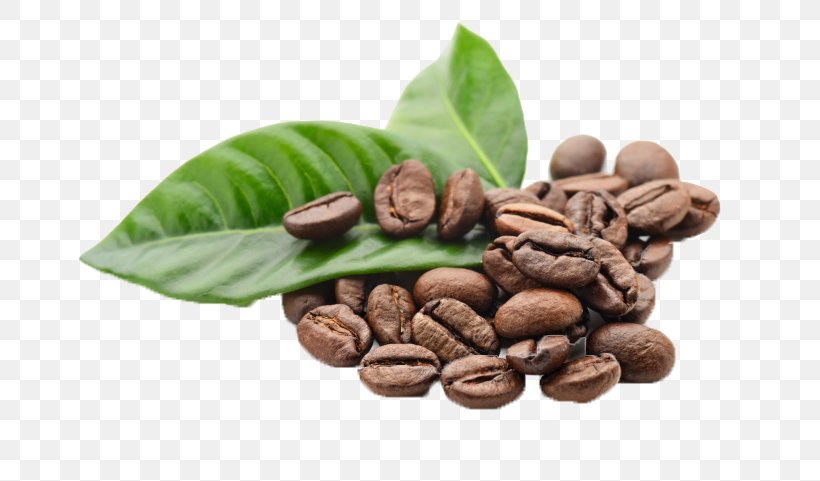 Jamaican Blue Mountain Coffee Cafe Single-origin Coffee Instant Coffee, PNG, 727x481px, Coffee, Bean, Cafe, Cocoa Bean, Coffea Download Free