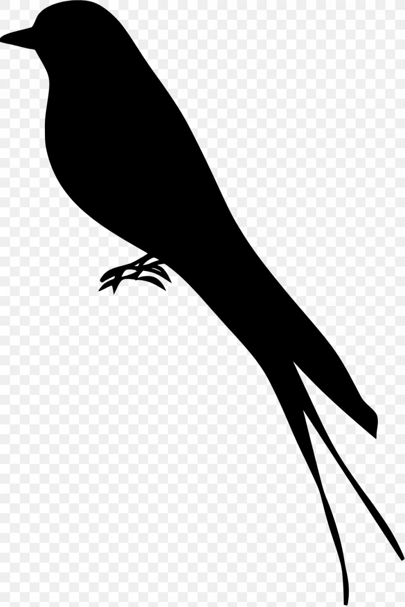 Mockingbird Silhouette, PNG, 1000x1501px, Mockingbird, Beak, Bird, Blackbird, Drawing Download Free