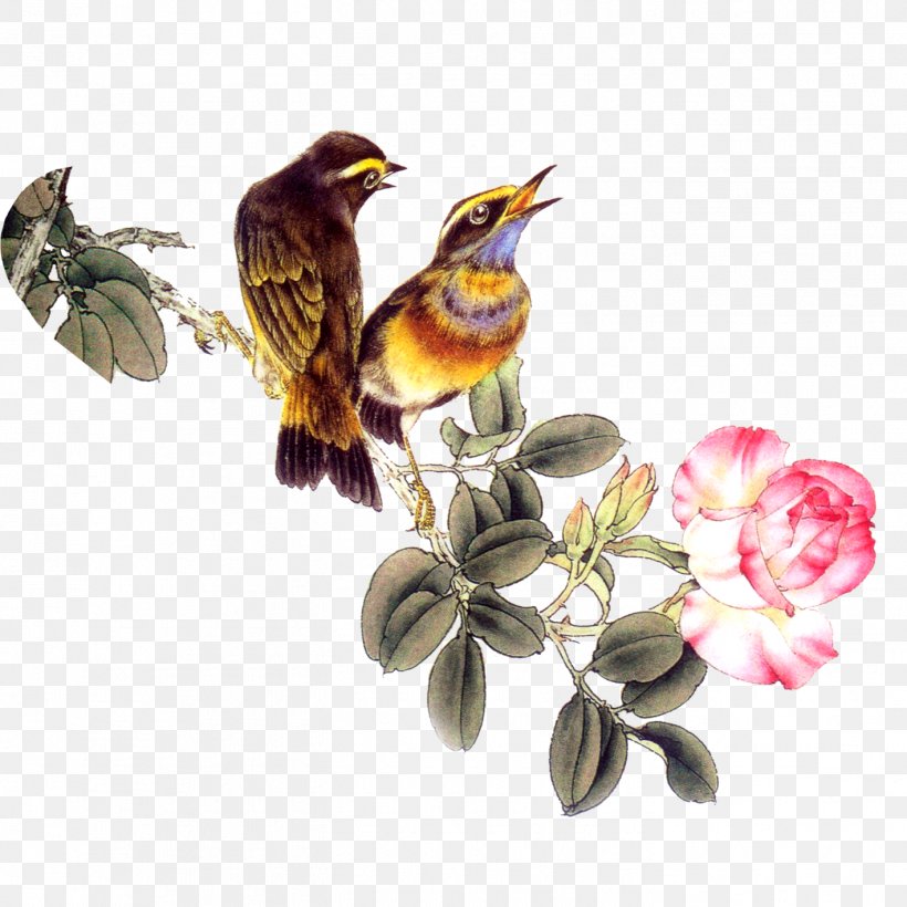 Birds And Flowers, PNG, 1417x1417px, Bird, Beak, Bird And Flower Painting, Branch, Computer Software Download Free