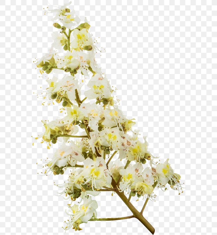 Floral Design Cut Flowers Flower Bouquet Cherry Blossom, PNG, 591x889px, Floral Design, Blossom, Branch, Cherry, Cherry Blossom Download Free